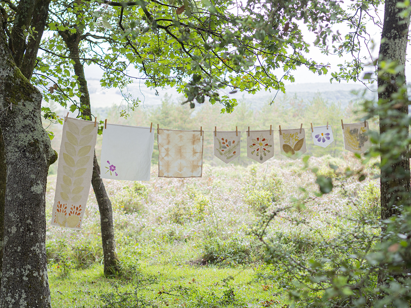 DIY Estampación botánica en tela9